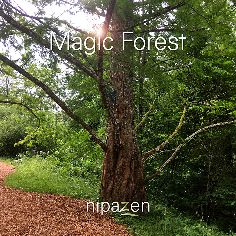 Venise Nipazen Venise