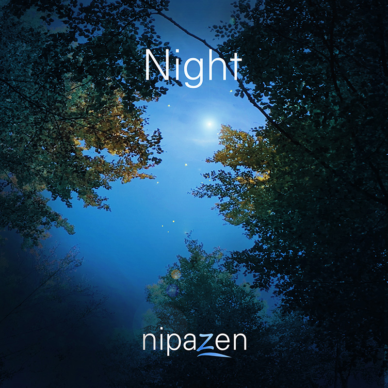 Venise Nipazen Venise